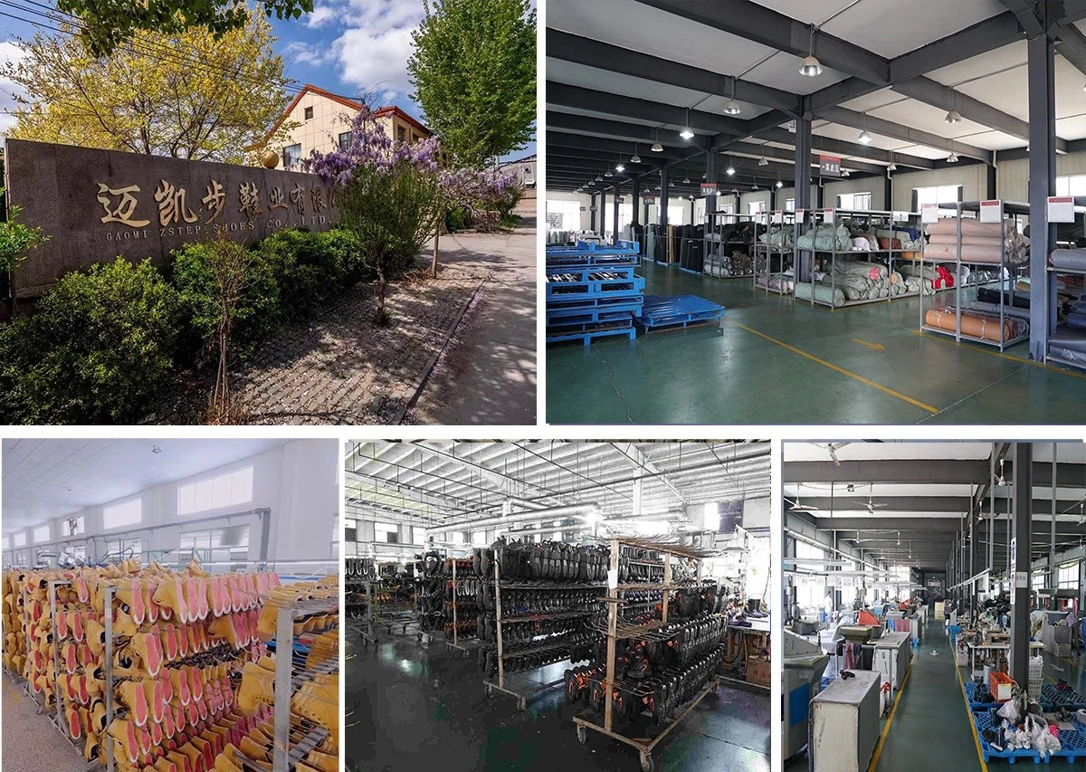 product-1200-853 product-1200-853